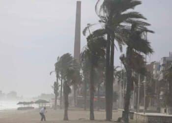 Playa andaluza con palmeras dobladas por el poniente y polvo en suspensión, 19 de mayo de 2025