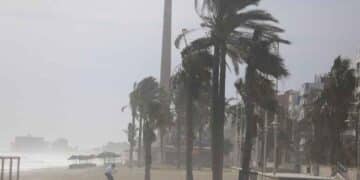 Playa andaluza con palmeras dobladas por el poniente y polvo en suspensión, 19 de mayo de 2025