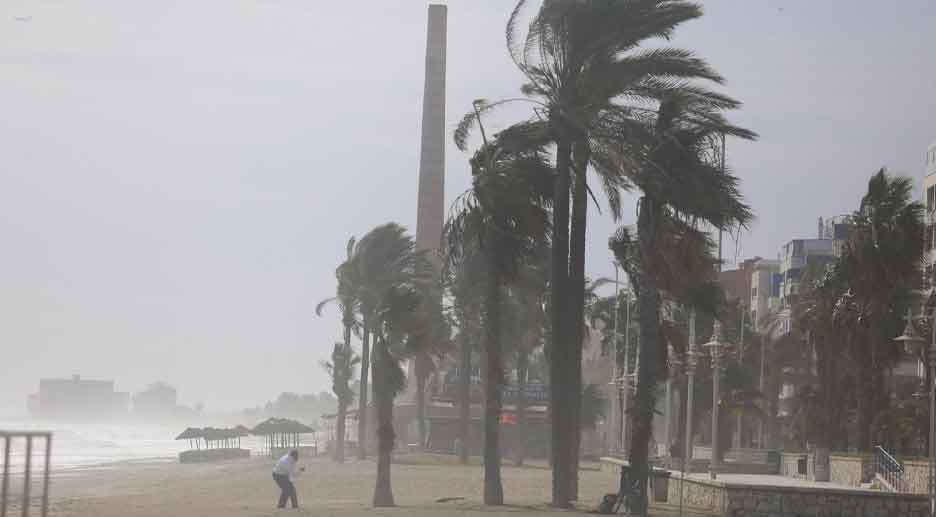 Playa andaluza con palmeras dobladas por el poniente y polvo en suspensión, 19 de mayo de 2025