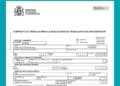 Formulario oficial del Ministerio de Trabajo para contrato fijo discontinuo código 300, ejemplo de documento laboral en España