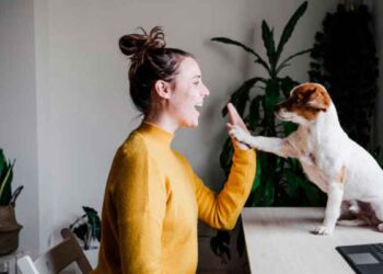 Tener mascota podría suponerte un ahorro de hasta 80.000 € anuales. Aquí te contamos todos los detalles de por qué se da esto.