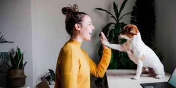 Tener mascota podría suponerte un ahorro de hasta 80.000 € anuales. Aquí te contamos todos los detalles de por qué se da esto.