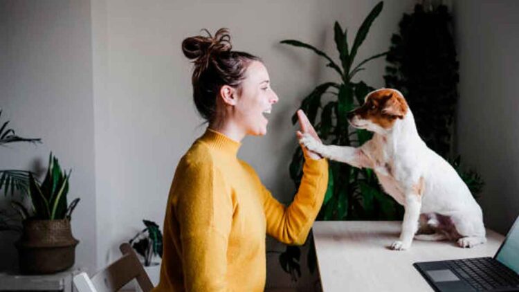 Tener mascota podría suponerte un ahorro de hasta 80.000 € anuales. Aquí te contamos todos los detalles de por qué se da esto.