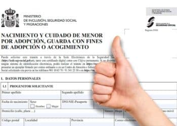 Formulario oficial de la Seguridad Social para solicitar la prestación por nacimiento y cuidado de menor