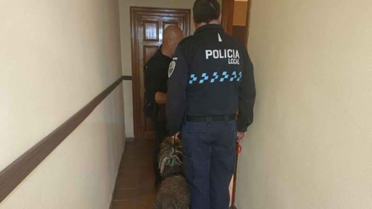 Multas de 500 euros por hacer esto en una vivienda.
