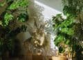 Conoce cuáles son las mejores plantas de interior que puedes tener en casa.