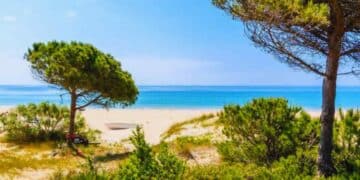 La playa de Bolonia es una de las pocas playas vírgenes de Andalucía.