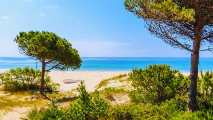 La playa de Bolonia es una de las pocas playas vírgenes de Andalucía.