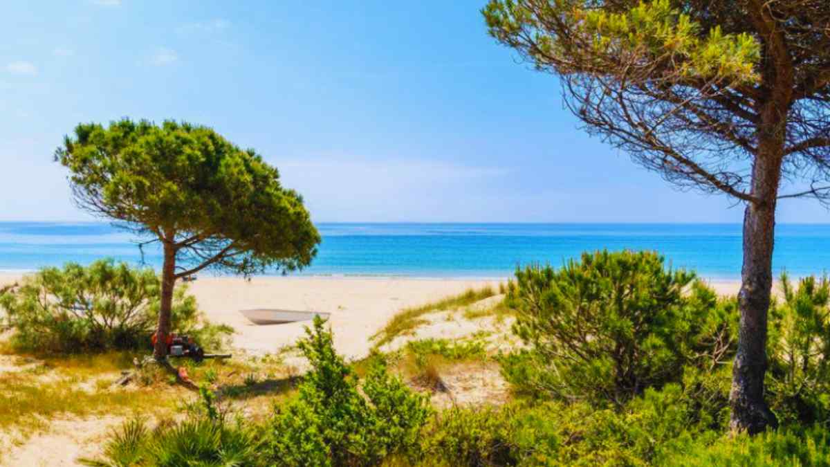La playa de Bolonia es una de las pocas playas vírgenes de Andalucía.