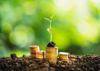 Brote verde sobre pilas de monedas representa préstamo verde y financiación ecológica orientada al ahorro y sostenibilidad