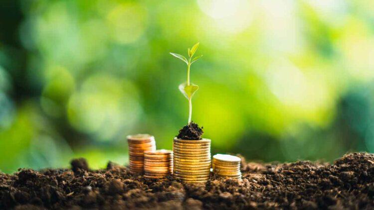 Brote verde sobre pilas de monedas representa préstamo verde y financiación ecológica orientada al ahorro y sostenibilidad