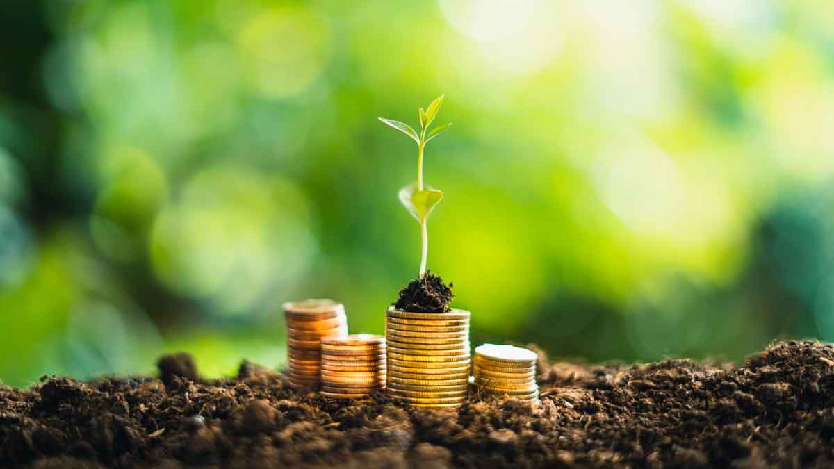 Brote verde sobre pilas de monedas representa préstamo verde y financiación ecológica orientada al ahorro y sostenibilidad