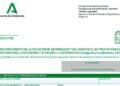 Formulario de solicitud de dependencia de la Junta de Andalucía