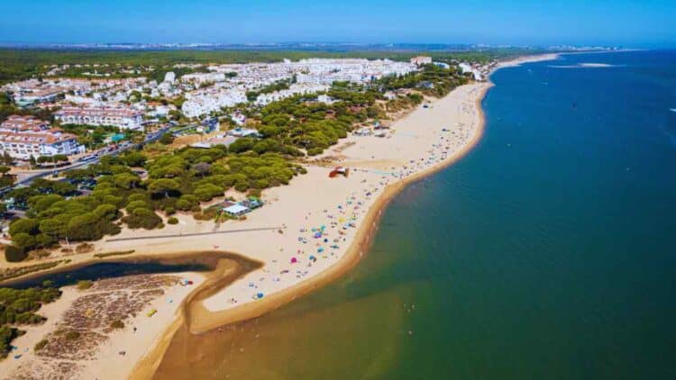 Inmobiliaria ofrece una finca por menos de 46.000 euros