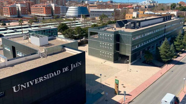 Campus de la Universidad de Jaén, ejemplo del 74 % de graduados andaluces que trabajan cuatro años después de licenciarse
