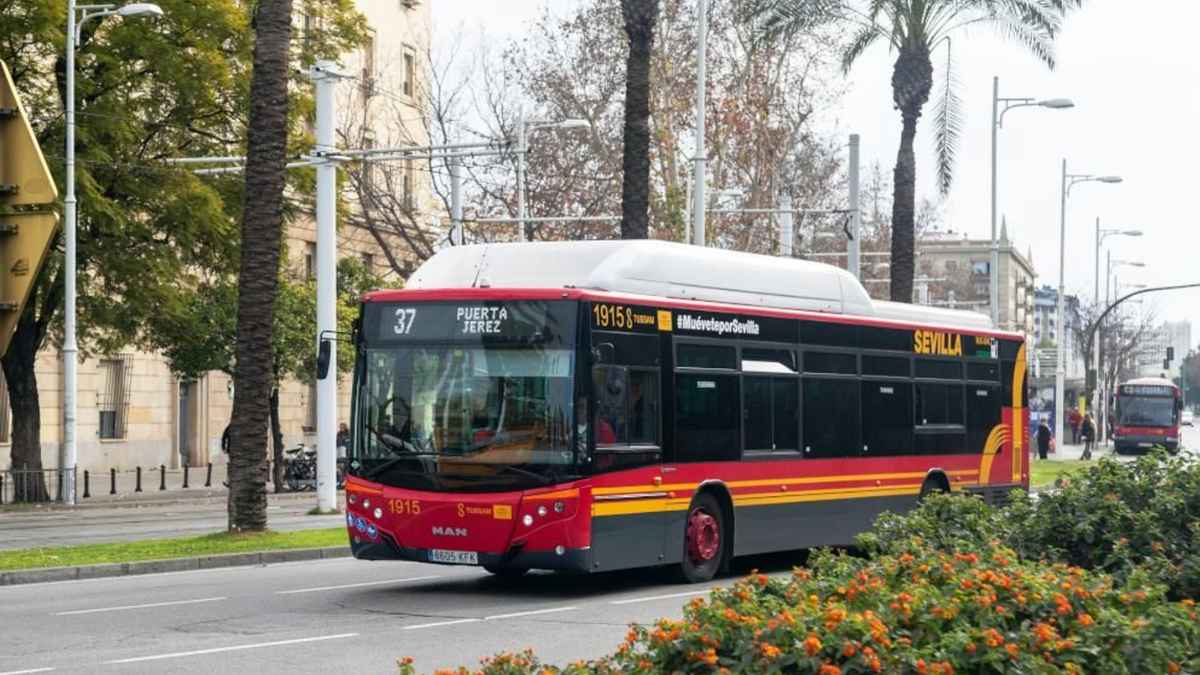 Autobús Tussam en Sevilla: servicio gratis durante la cumbre ONU 30 junio-3 julio 2025.