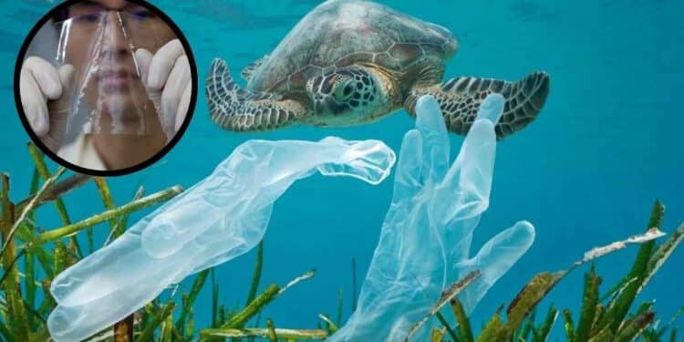 Plásticos en el océano.