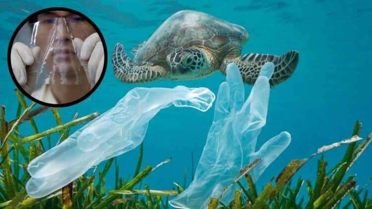 Plásticos en el océano.