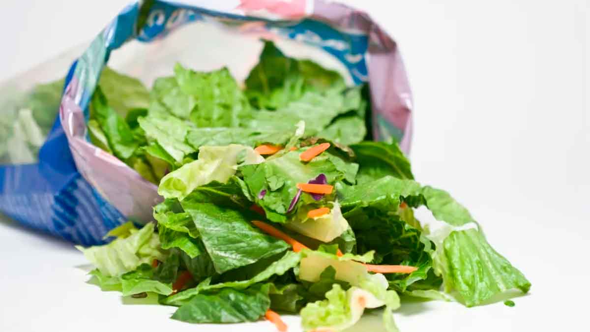 Bolsa abierta de ensalada lista para consumir, relacionada con estudio europeo sobre toxoplasmosis