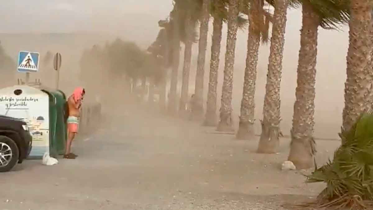 Temporal de polvo y viento en la costa de Andalucía durante la ola de calor