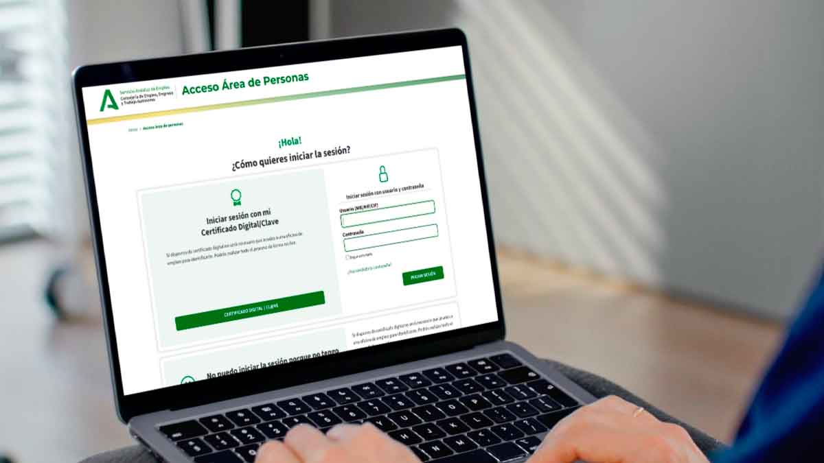 antalla de acceso al Área de Personas del SAE para renovar demanda de empleo