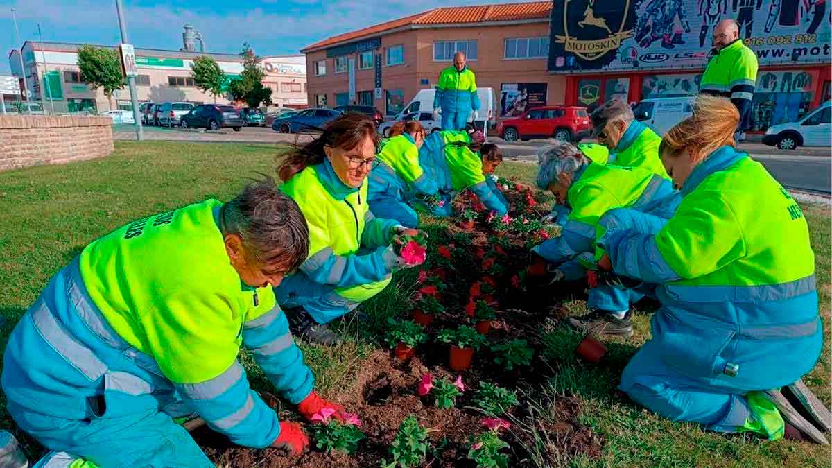 Trabajadores jardineros del SAE plantando flores en un parque de Andalucía