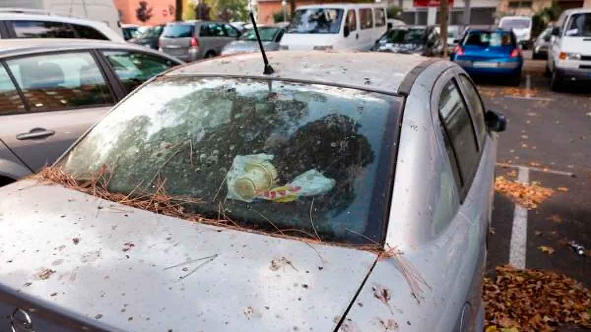 Coche okupa abandonado en la calle con suciedad y hojas secas en España