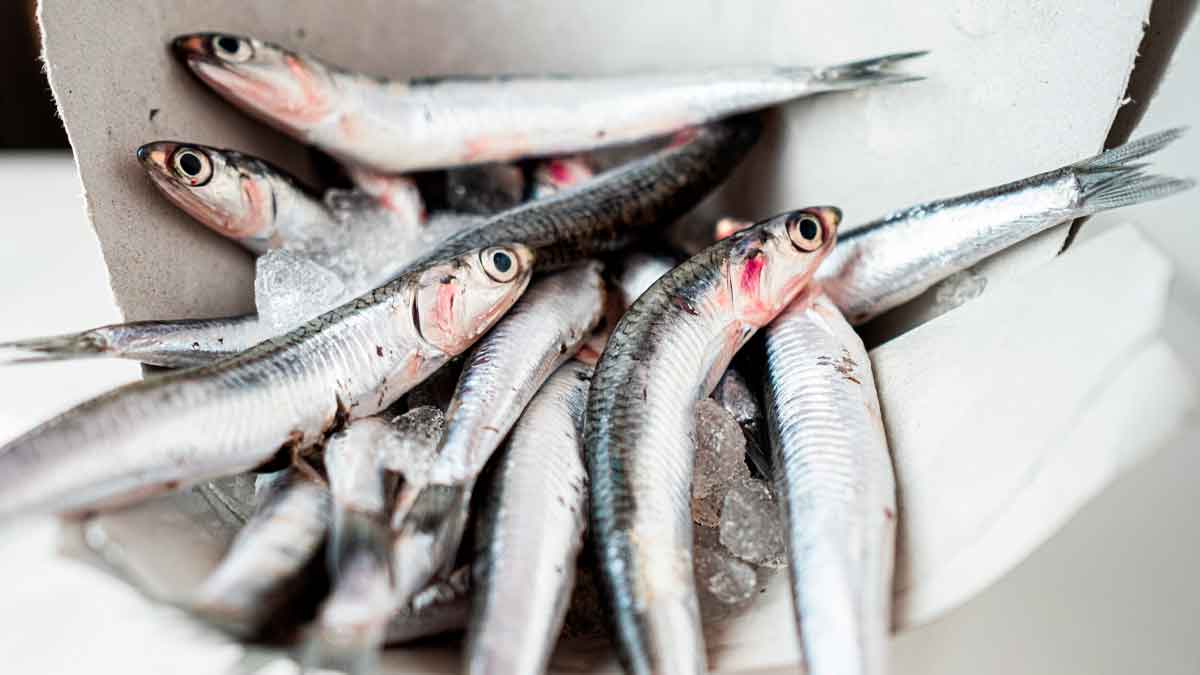 Boquerones frescos en hielo relacionados con despido de trabajador en supermercado