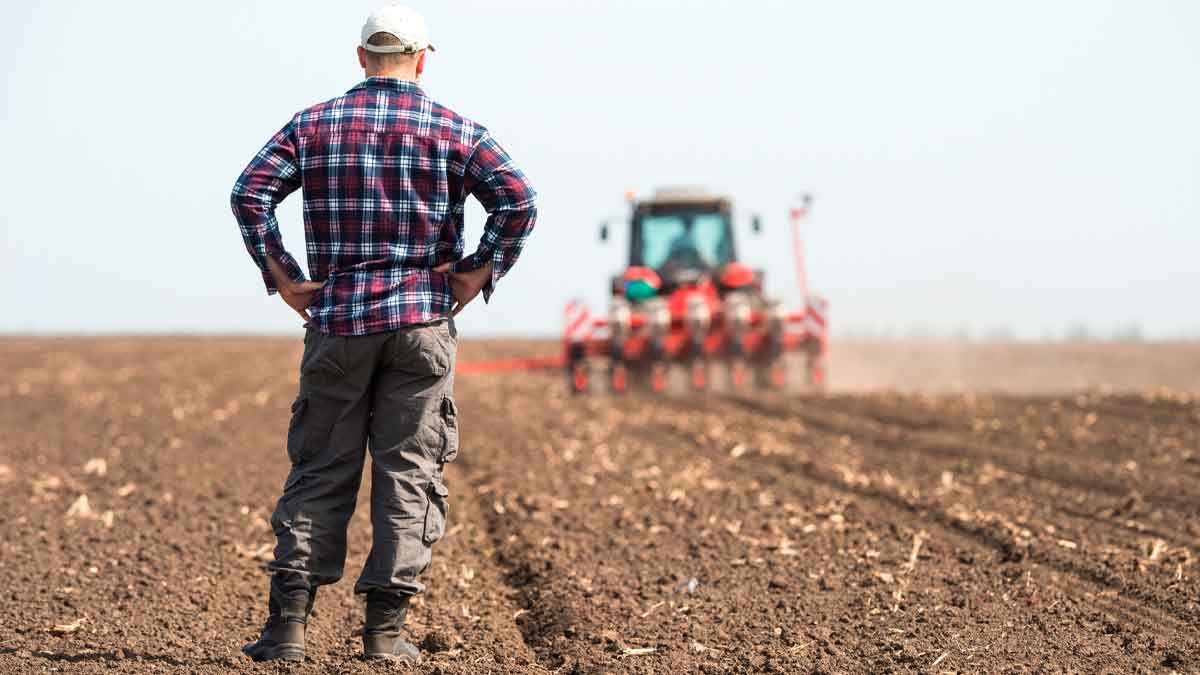 Trabajador agrícola observando un tractor en una finca de Andalucía