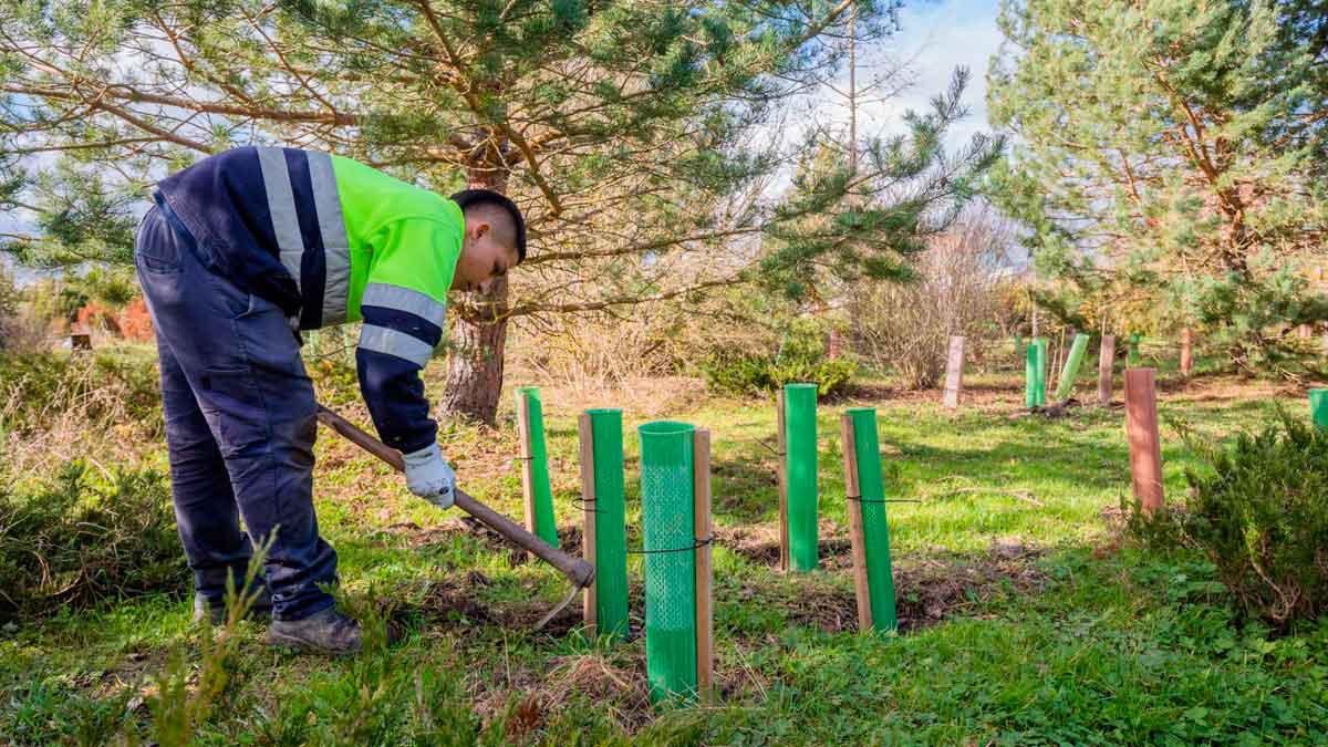 Trabajador jardinero realizando labores de mantenimiento en Andalucía para ofertas de empleo del SAE