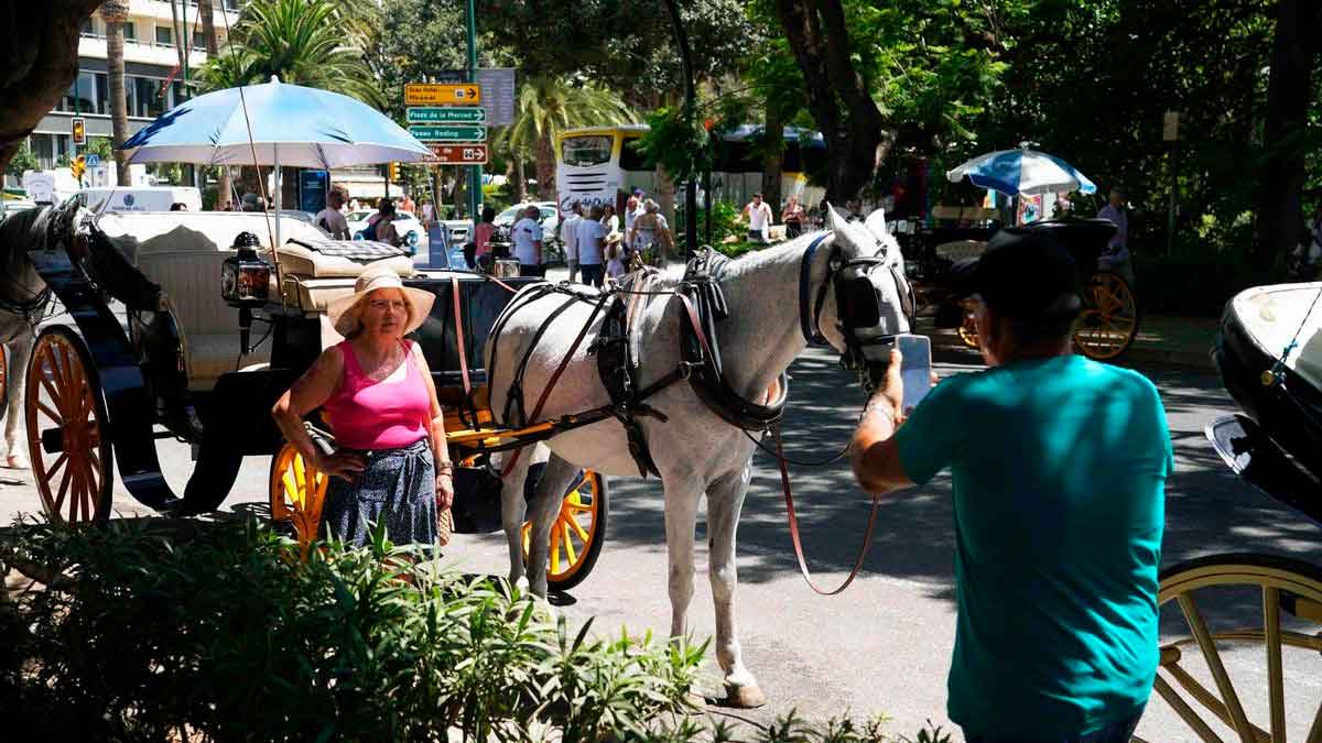 Turistas junto a un coche de caballos en el centro de Málaga antes del fin del servicio aprobado por el Ayuntamiento