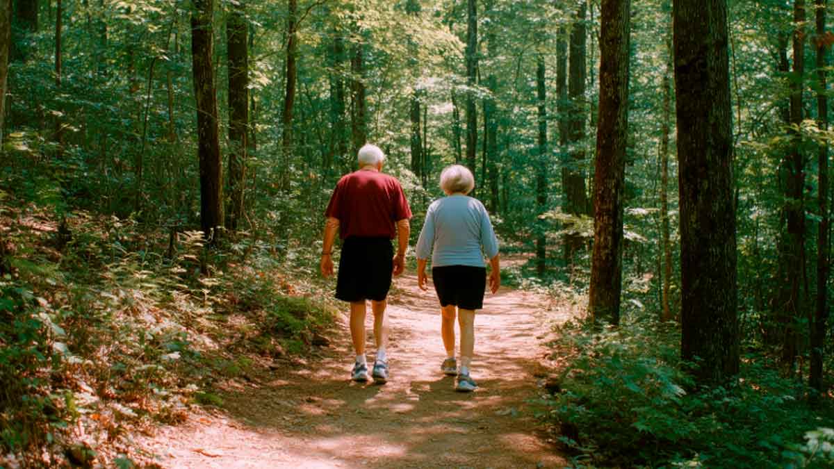 Personas mayores de 60 años caminan por un bosque como parte de la Liga m100 impulsada por la Junta de Andalucía