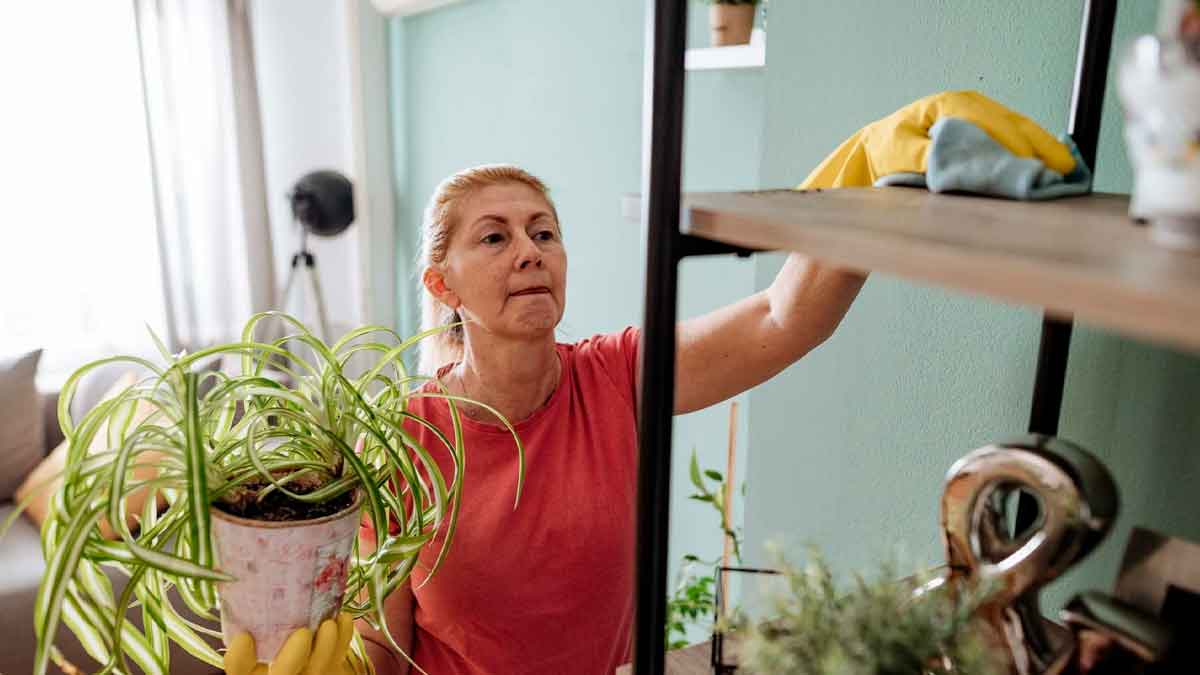 Empleada de hogar limpiando una estantería, reconocimiento médico obligatorio desde 2026 según el RDL 893/2024