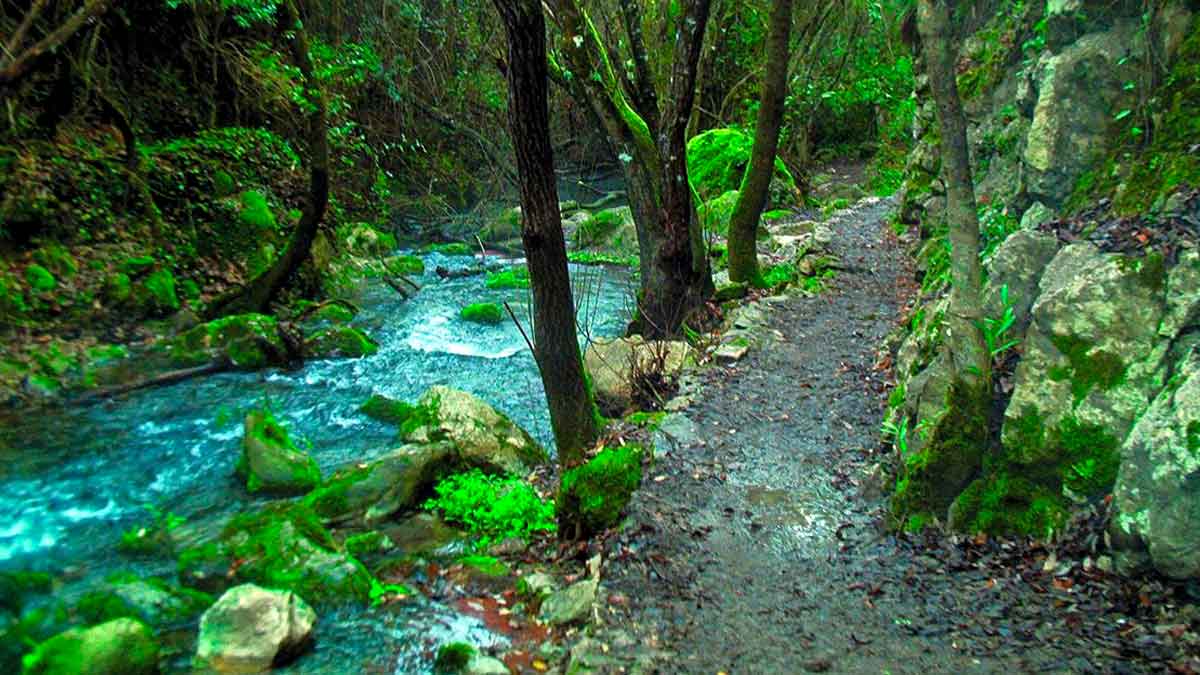 Sendero junto al río Majaceite en Andalucía rodeado de vegetación durante una ruta de otoño