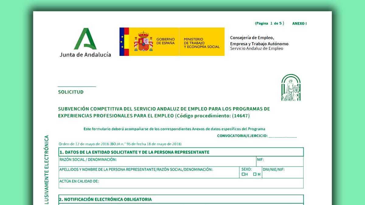 Formulario oficial del SAE para solicitar las prácticas no laborales del programa EPES con ayudas de 480 euros mensuales