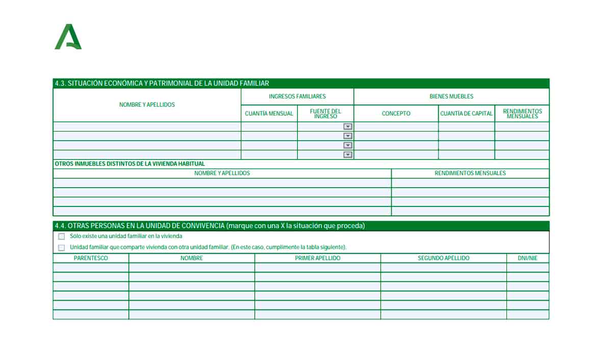 Formulario oficial de la Renta Mínima de Inserción Social en Andalucía para declarar ingresos y unidad familiar