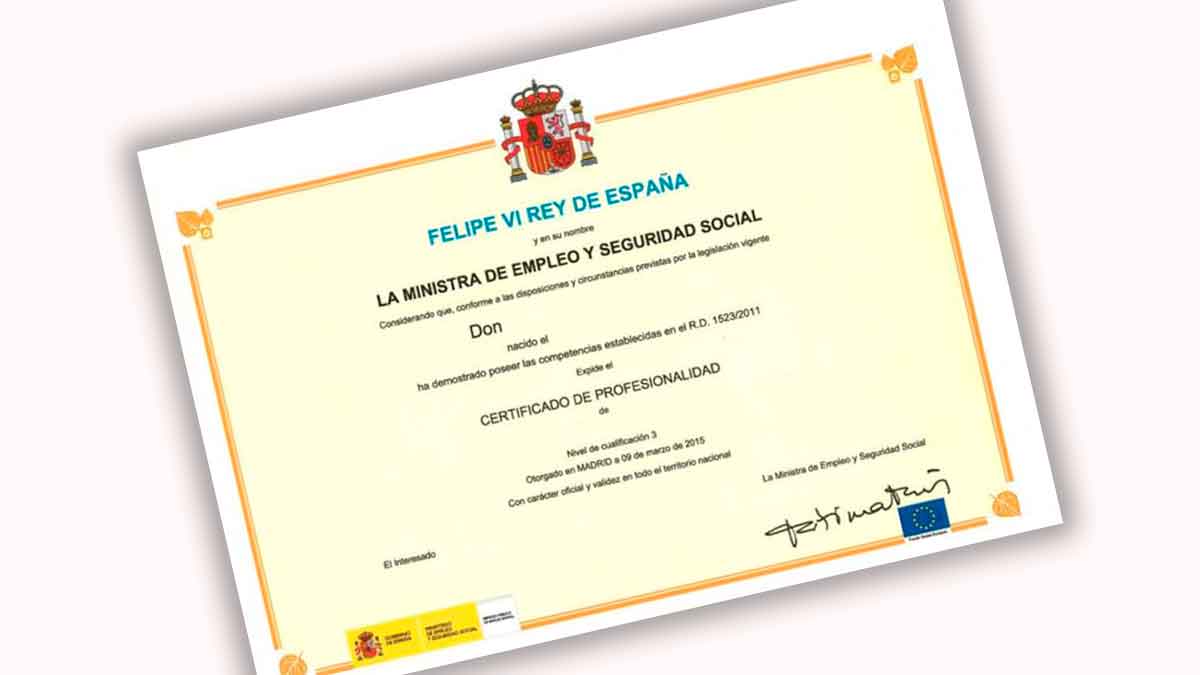 Certificado profesionalidad oficial españa ejemplo documento acreditacion competencias