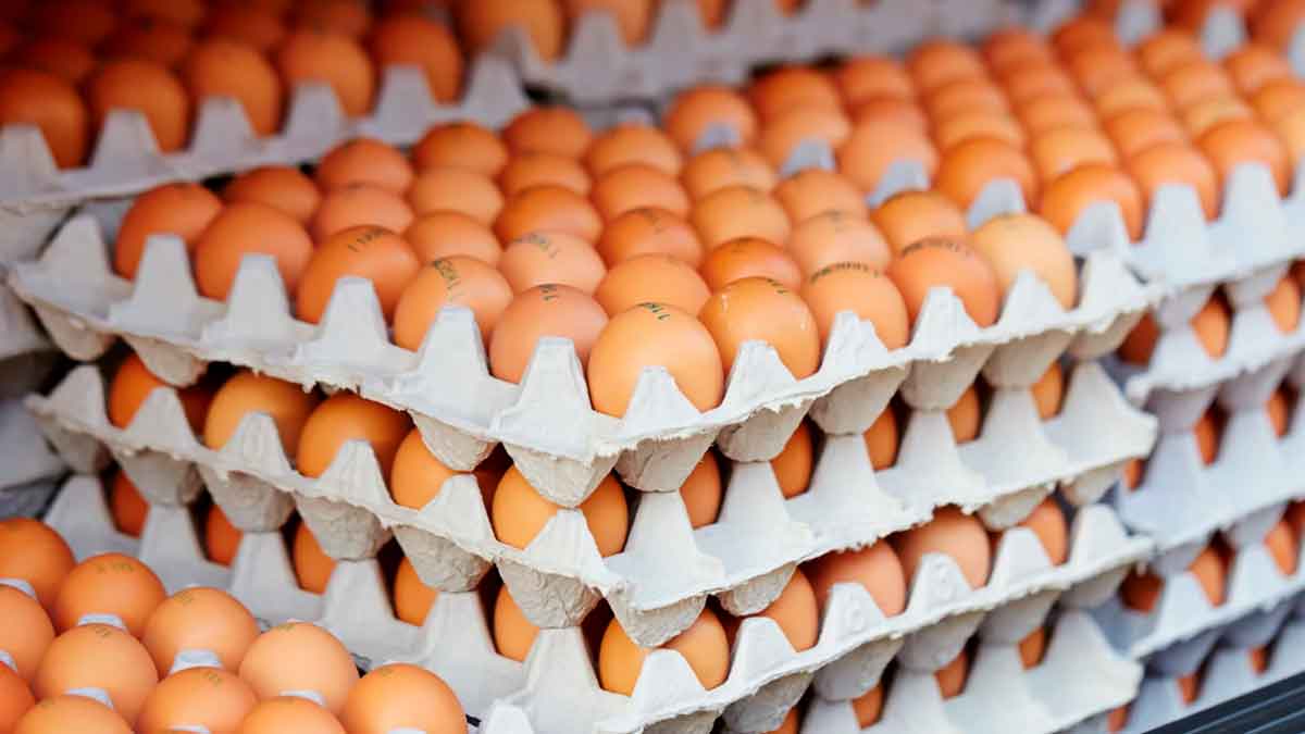 Bandejas de huevos frescos apilados que ilustran su subida de precio en España