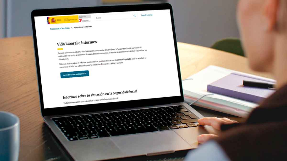 Persona consultando en un portátil el servicio guiado de Vida laboral e informes de Importass de la Seguridad Social