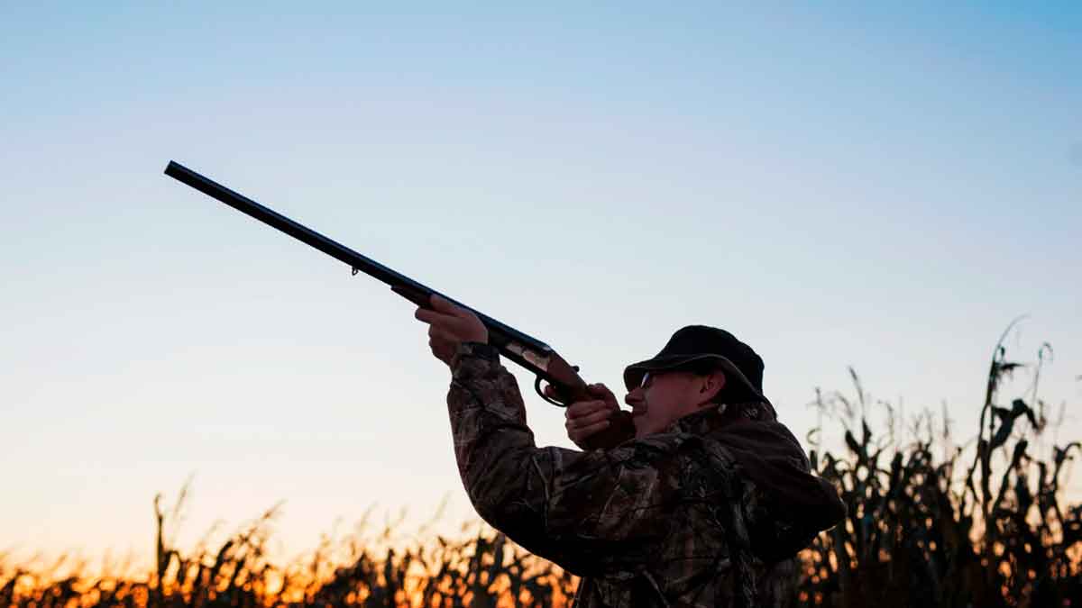Cazador apuntando con escopeta al amanecer durante una jornada de caza