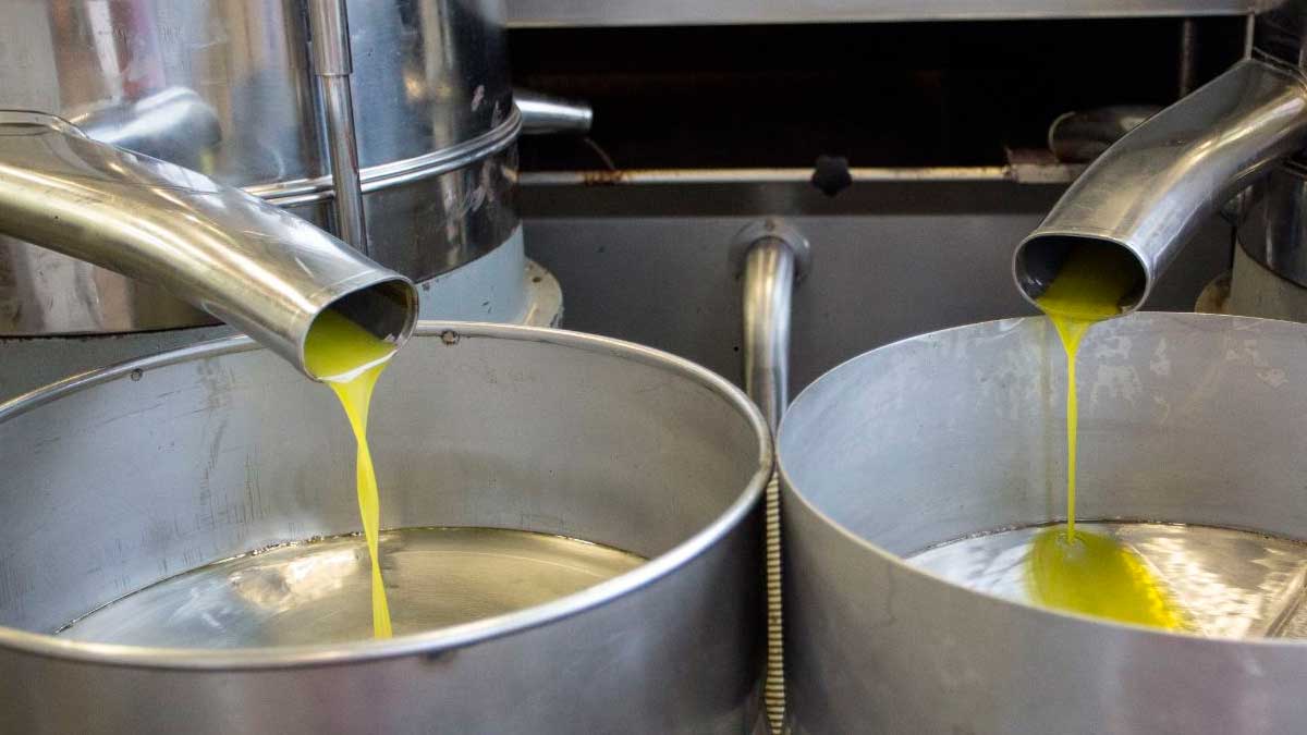 Las reservas de aceite de oliva podrían vaciarse antes de octubre