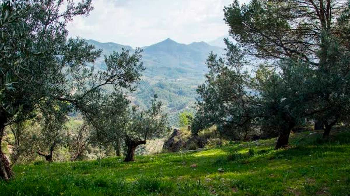 El Gobierno inyecta 64 millones de euros en ayudas para la Sierra de Segura
