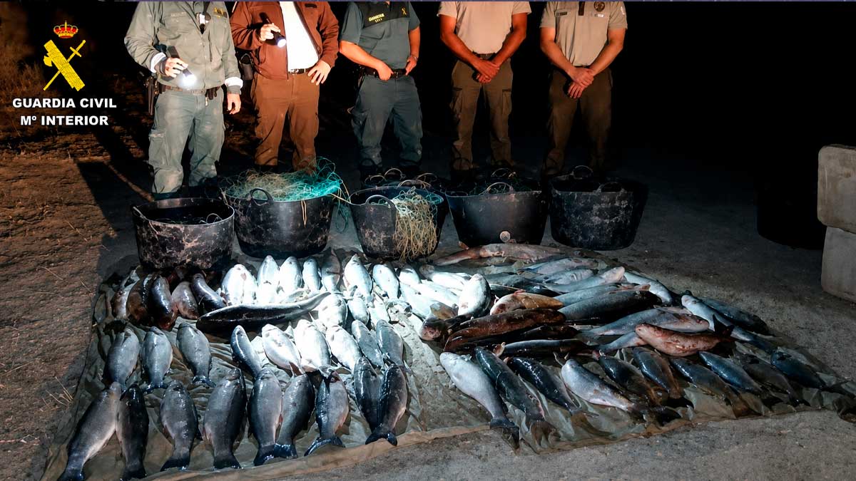 Guardia Civil incauta pescado por pesca furtiva en Doñana